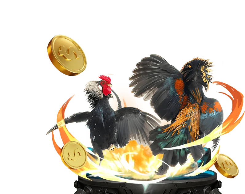 Cơ chế trò chơi công bằng K9.bet